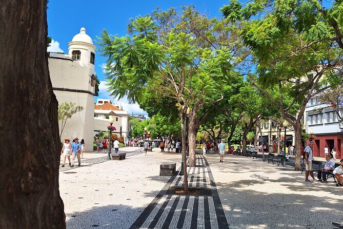 2-Hour Funchal City & Madeira Wine Experience - Small Group Energy and Guides Who Connect the Dots