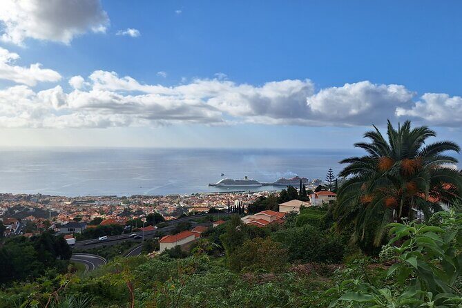 2-Hour Funchal City & Madeira Wine Experience - When Plans Shift: Weather and Busy Cruise Days
