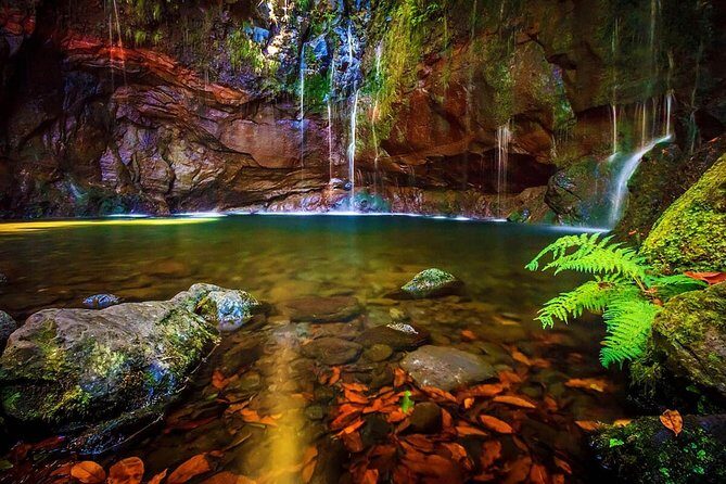 "25 Fountains" Walk / Lost In The Beautiful Forest - Key highlights worth planning for