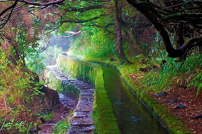 "25 Fountains" Walk / Lost In The Beautiful Forest - The big picture: what this 25 Fontes walk is really like