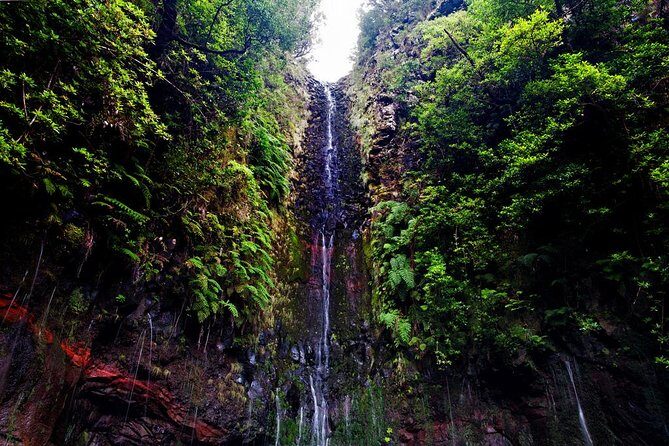 "25 Fountains" Walk / Lost In The Beautiful Forest - Steps, wet ground, and why shoes are not optional