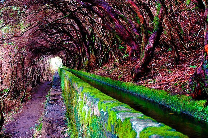 "25 Fountains" Walk / Lost In The Beautiful Forest - Overcrowding: how to enjoy a popular route without letting it ruin your day