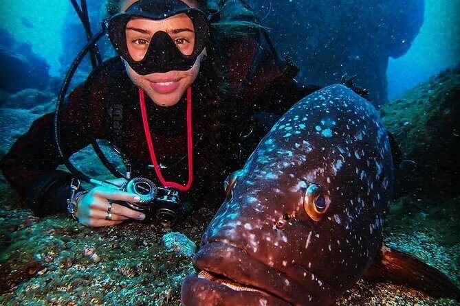 3 days Open Water Course | Scuba Diving - What you’ll actually do in the water (and what to expect emotionally)