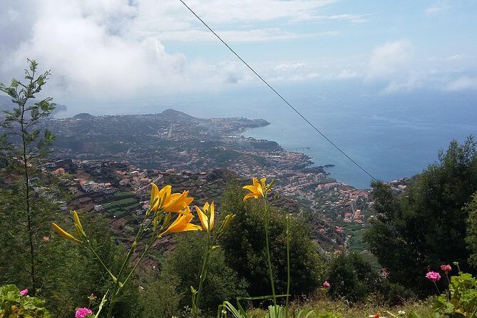 4x4 Safari Half day Poncha, Mountains, Vineyards and Cabo Girão Small group - Poncha Sample and Local Life: Why the Drink Part Matters