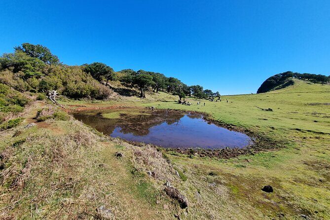 5 Hours Private tour To Porto Moniz, Rock pools, waterfalls - Ribeira da Janela: Rocks, Sea Close-Enough to Hear