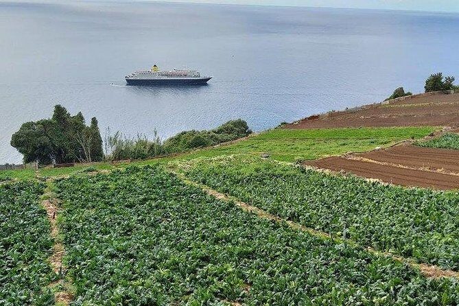 Agriculture Green Tour - Banana family farm plus the island’s banana reality