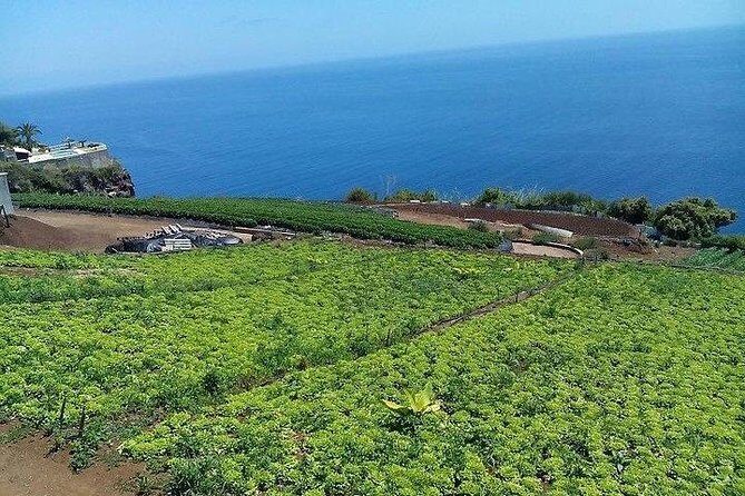Agriculture Green Tour - The drive: old roads, big views, and a cable car viewpoint