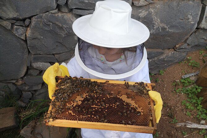 Amazing experience with Bees, honey and Pollen in Madeira Island - Touching Honey Frames and Watching Bees Up Close