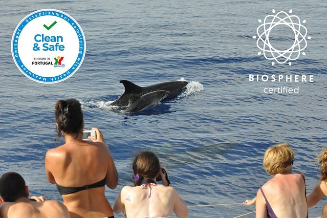 Arieiro Peak and Cristo Rei 4x4 Experience + Dolphins Watching - Time math and the smart way to use your 1:30–3:00 window