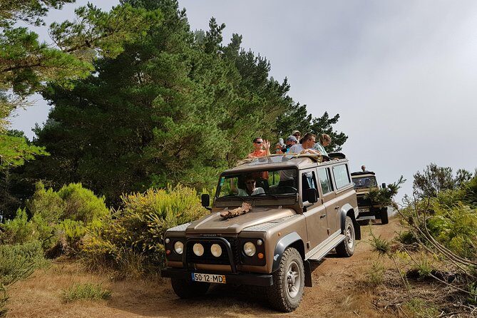 Arieiro Peak, Santo Serra, Cristo Rei in Open Roof 4x4 Experience - Stop 1: Largo do Miranda S for first views over Funchal (and a smooth warm-up)