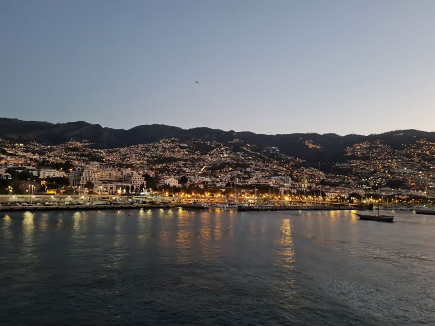 Audio Guide Citywalk Funchal for Cruise Guests - App Setup, GPS Working, and Why It Can Make or Break the Value
