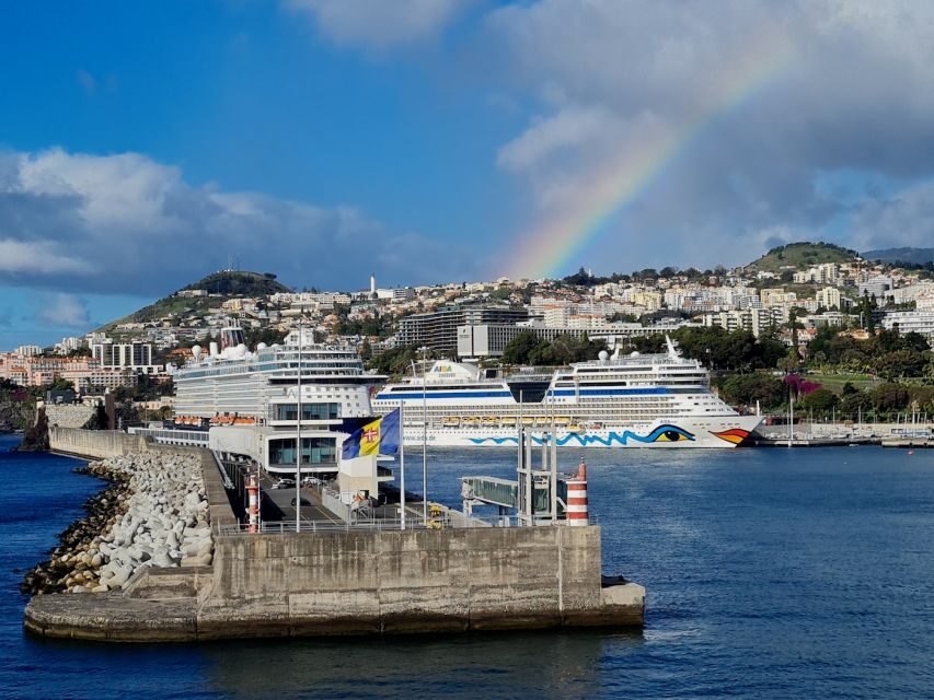 Audio Guide Citywalk Funchal for Cruise Guests - Price and Value: When $11 Per Smartphone Actually Makes Sense