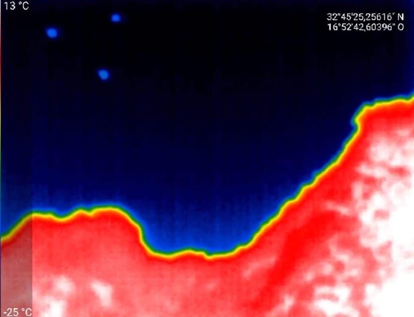 Bat Watching Madeira - Transfers in Funchal: convenient, but not everywhere