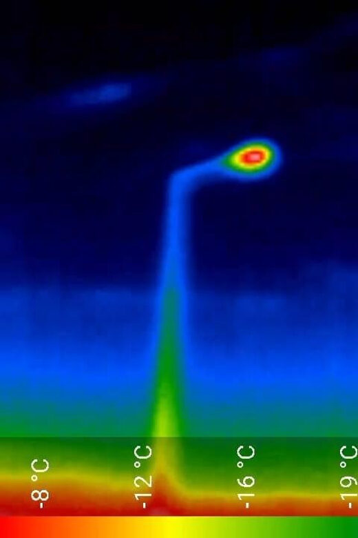 Bat Watching Madeira - How ultrasound detectors help you “hear” bats