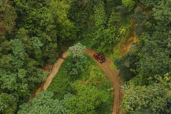 Bespoke adventure in Madeira with pick-up - Who should book this Madeira bespoke adventure