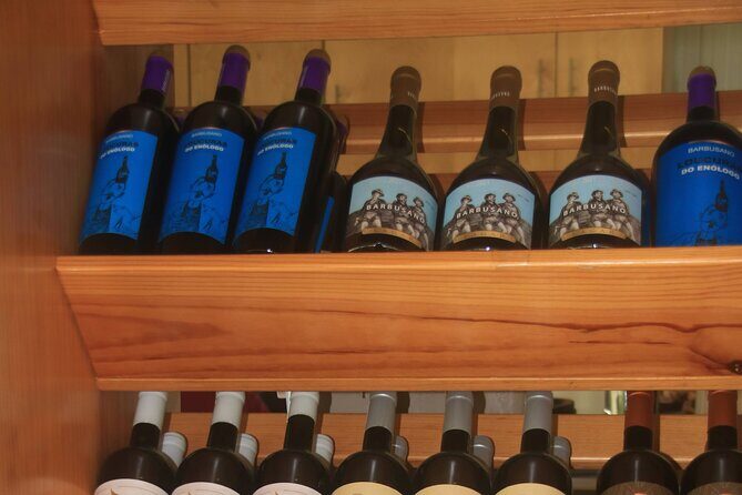 Bestselling Wine Tour, Tasting Experience & Skywalk 4x4 Adventure - São Vicente: 45 Minutes for Coast-and-Cliff Madeira