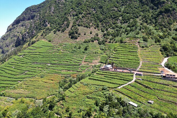 Bestselling Wine Tour, Tasting Experience & Skywalk 4x4 Adventure - Cabo Girão Skywalk: The View That Costs €5