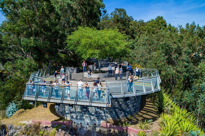 Bestselling Wine Tour, Tasting Experience & Skywalk 4x4 Adventure - Price and Value: What $66.01 Really Covers