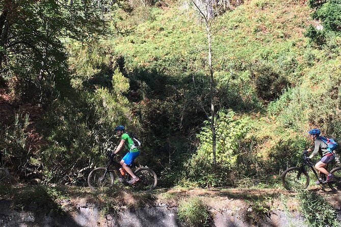 Botanical Trails of Madeira. Mountain biking Trail Experience - Key Highlights You’ll Notice Right Away