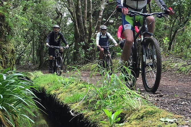 Botanical Trails of Madeira. Mountain biking Trail Experience - Poiso (About 1400m): The Quick Uphill That Sets the Rhythm