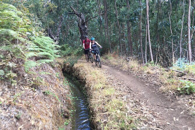 Botanical Trails of Madeira. Mountain biking Trail Experience - The 20km Levada Stretch (Around 850m): The Calm Middle That Feels Like a Different World