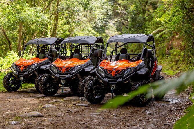 Buggy Adventure in Madeira off Road - Setting Off From Caniçal: Timing, Route Feel, and Small-Group Energy