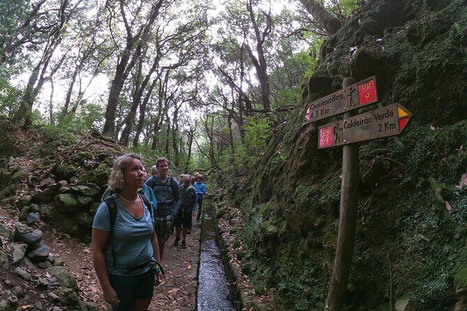 Caldeirão Verde Levada (PR 9) - Guided Madeira Levada Walk - Entering The Queimadas Forest Park at 980m: The Real Starting Point