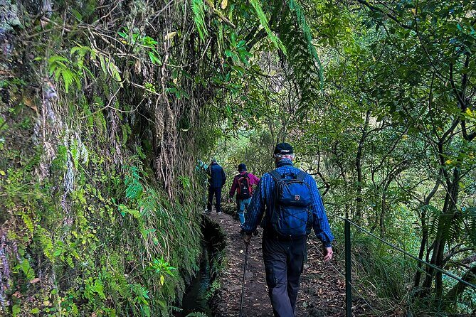 Caldeirão Verde Levada (PR 9) - Guided Madeira Levada Walk - The Tunnel Reality: Why You Should Pack a Flashlight Headlamp