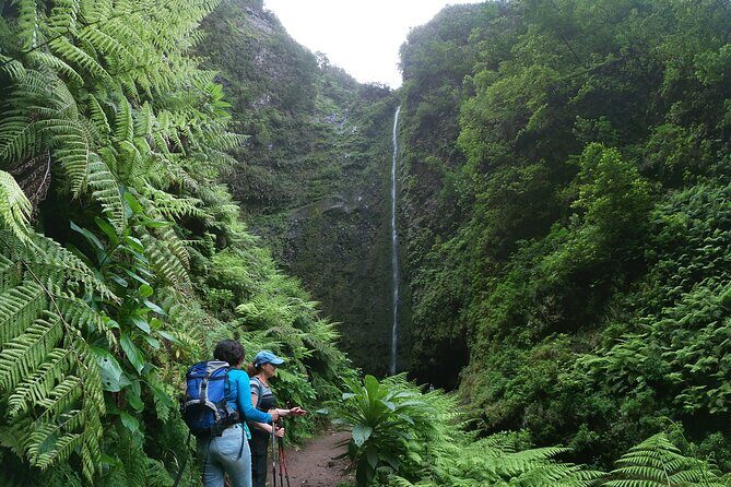 Caldeirão Verde Levada (PR 9) - Guided Madeira Levada Walk - Group Size, Listening, and How Guides Shape the Day