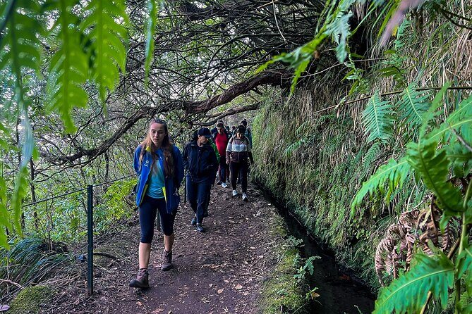 Caldeirão Verde Levada (PR 9) - Guided Madeira Levada Walk - Price Value: What You’re Paying For (and What You Still Need)