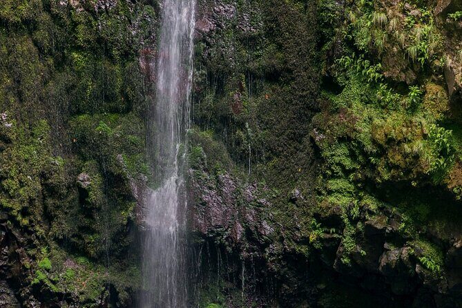 Caldeirão Verde Levadas Walk in Madeira - The Cauldirão Verde Waterfall Moment