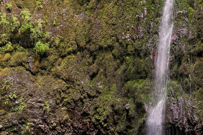 Caldeirão Verde Levadas Walk in Madeira - Tunnels and Heights: Safety Tips That Matter