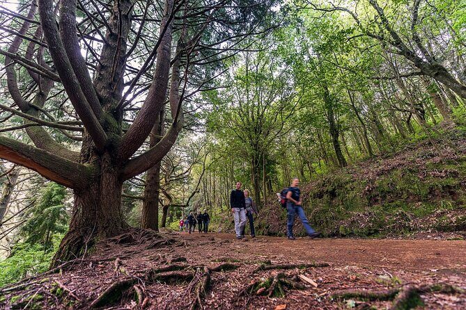 Caldeirão Verde Levadas Walk in Madeira - Weather Reality in Madeira: Dress for the Day