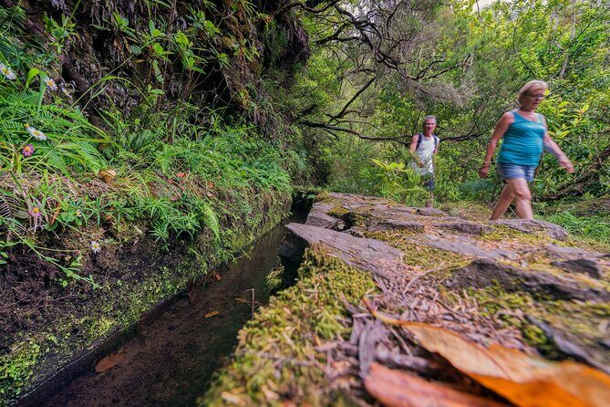 Caldeirão Verde Levadas Walk in Madeira - What’s Included in the Price (and What Isn’t)