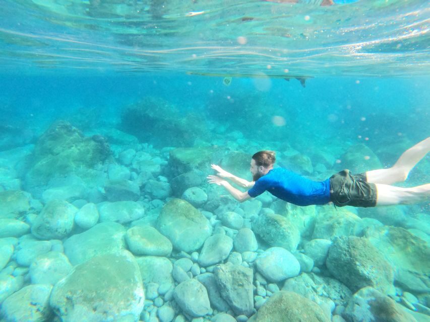 Câmara de Lobos: Private Guided Kayaking Tour in Madeira - Price and Value: Is $82 Worth It?