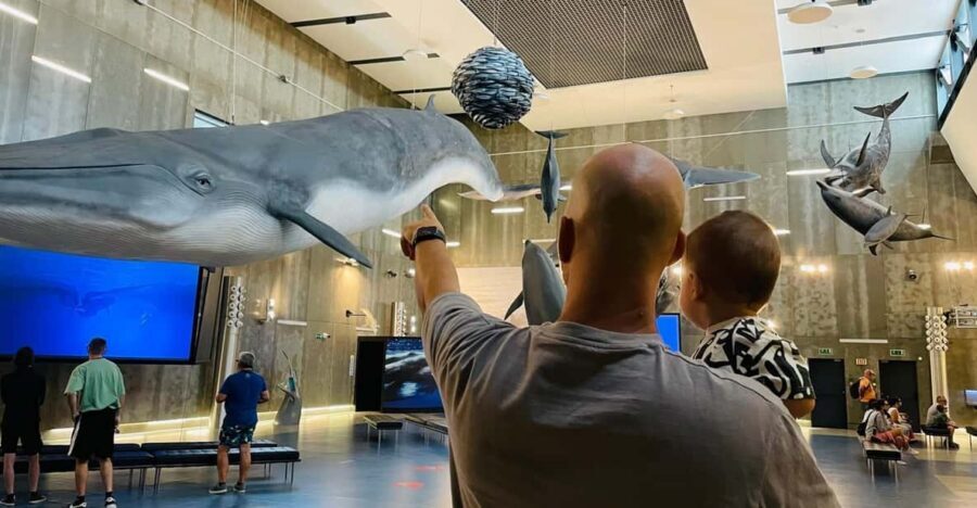 Caniçal : Madeira Whale Museum Entry ticket - How Long Should You Plan for This Museum?