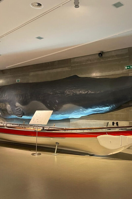 Caniçal : Madeira Whale Museum Entry ticket - Temporary Exhibition: Use It as a Wildcard