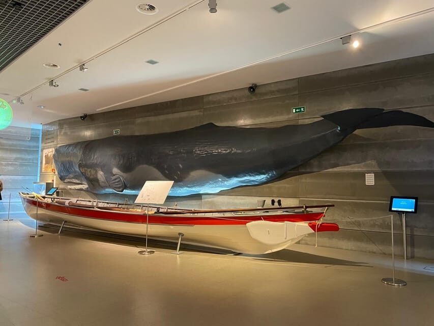Caniçal : Madeira Whale Museum Entry ticket - Ticket Value: Is $11 Enough for All This?