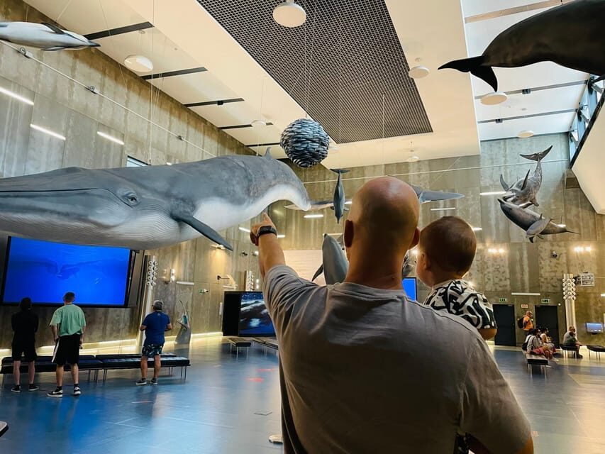 Caniçal : Madeira Whale Museum Entry ticket - Getting the Most Out of Your Audio Guide (It’s Included)