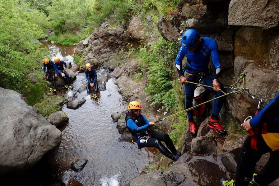 Canyoning in Madeira: Ideal for First-Timers and Families - Price and value: about $82 for a guided safety-first day
