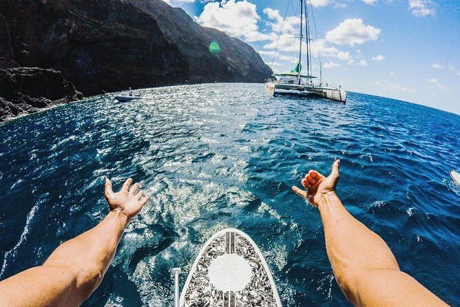 Catamaran Day Cruise to Desertas Islands from Funchal - From Funchal Marina to the Horizon: Sailing, Wildlife, and the Real Weather Check