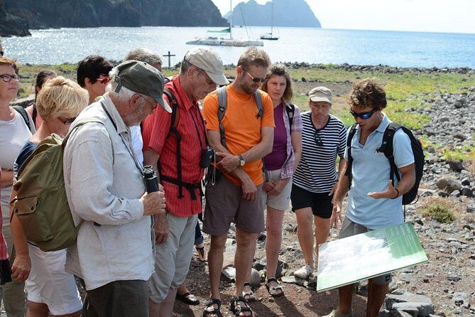 Catamaran Day Cruise to Desertas Islands from Funchal - The Desertas Stop: Virgin Beach Time, and Why Conditions Control Everything