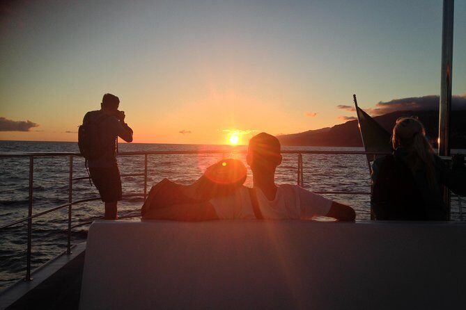 Catamaran Sunset Cruise from Funchal - Key things that make this cruise worth planning