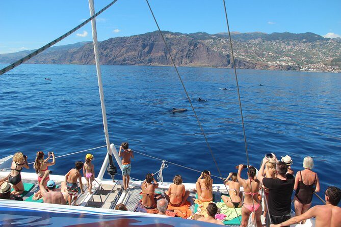 Catamaran Sunset Cruise from Funchal - What to bring: sunscreen, a wind layer, and the towel moment