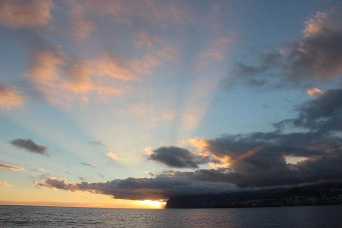 Catamaran Sunset Cruise from Funchal - Wildlife sightings: dolphins and whales, with no promises