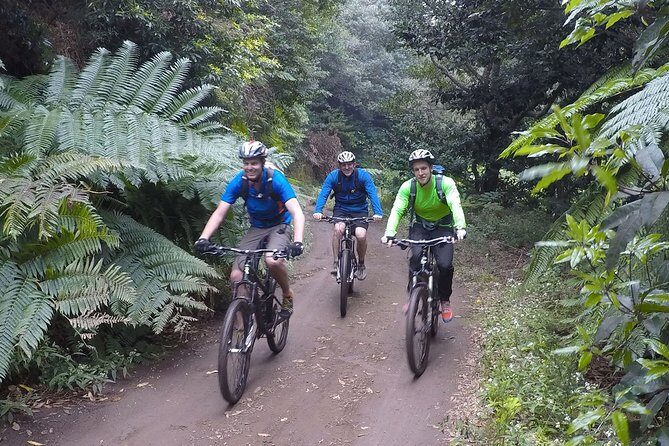 Cross Country - Moutain Bike Tour - Madeira XC MTB: What This Tour Really Feels Like