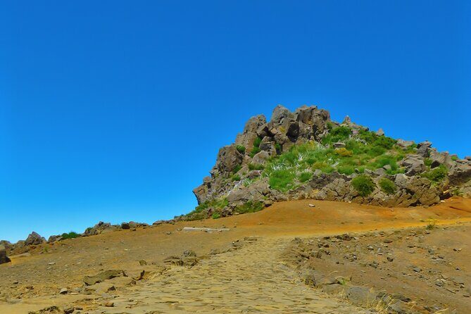Curral das Freiras & Peaks 4WD Tour - Miradouro Pico dos Barcelos: the fast track to Funchal and the Desertas