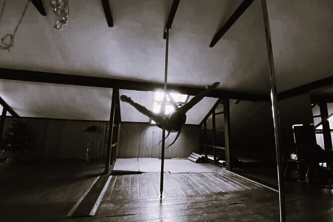 Dance Class (choose 1: Pole Dance, Burlesque or Aerial Silk/Hoop) - Small group class size: why max 8 is a big deal