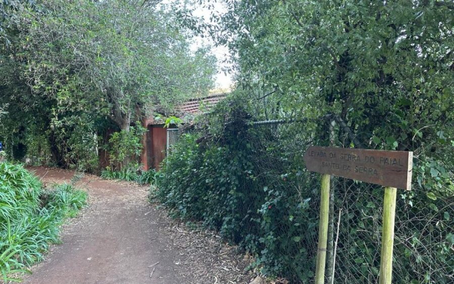 Discover the Paradise Valley - a quick escape for Everyone - Should You Book This Paradise Valley Walk?