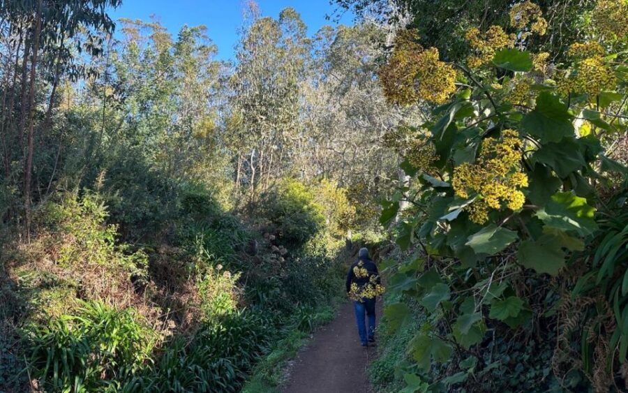 Discover the Paradise Valley - a quick escape for Everyone - A Paradise Valley Walk That Fits Real Schedules